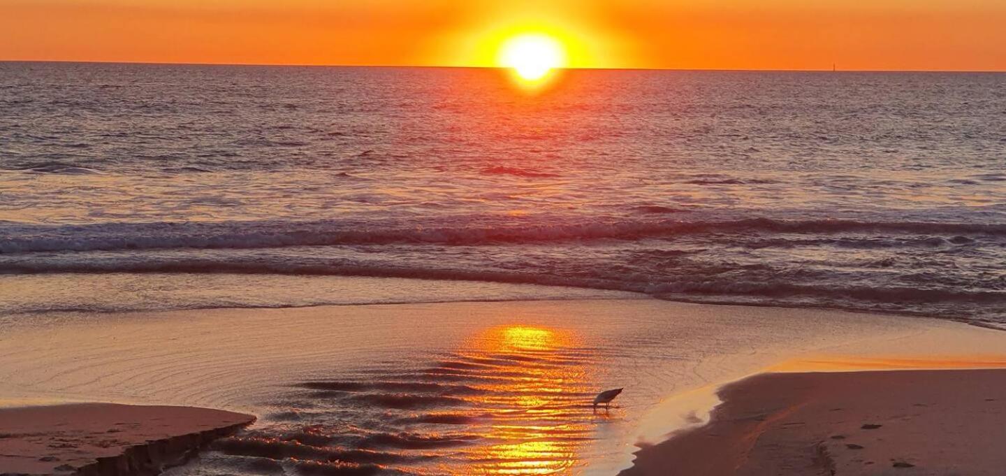 Sandcastles At The Beach Outstanding Location! Perth Exterior foto